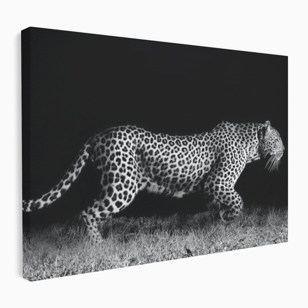 Tablou canvas cu tablou canvas cu jaguar nocturn, fara rama, pe sasiu de lemn